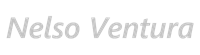 nelsoventura.com